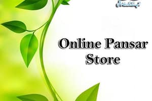 Online Pansar Store