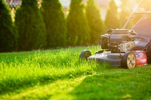 Best 10 Lawn care maintenance services