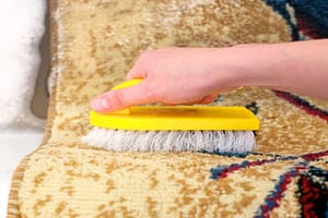 Wellesley MA Rug Cleaning