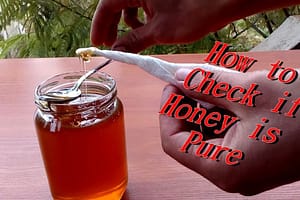 How do you know if honey is pure