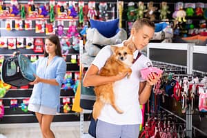Reasons Why Shopping at a Pet Store is the Best Way to Find Your New Furry Friend